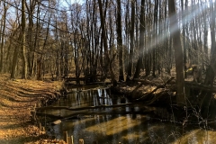 Noch schläft die Natur